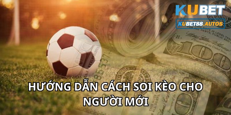 Cách soi kèo nhà cái chi tiết dành cho người mới