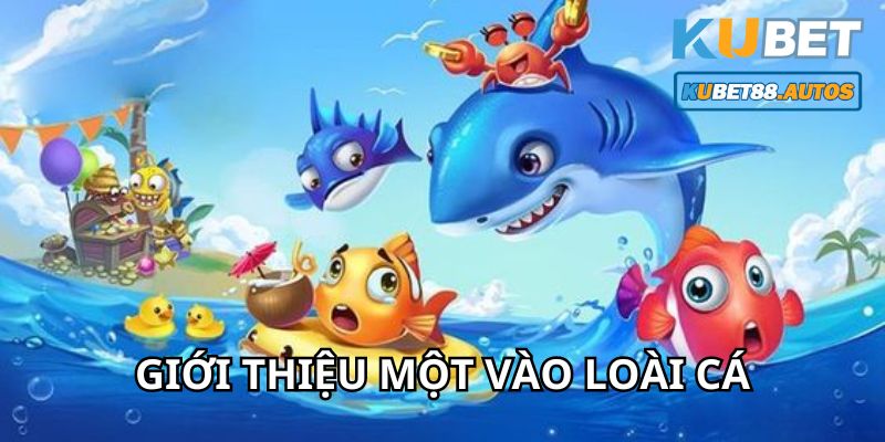 Một vài loại cá trong game vua bắn cá