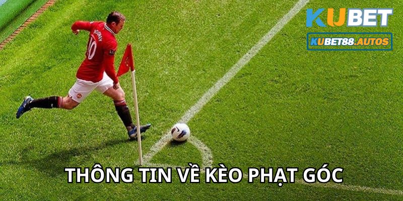 Tìm hiểu về kèo phạt góc